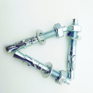 Zinc plated Wedge Anchor 12 * 100mm
