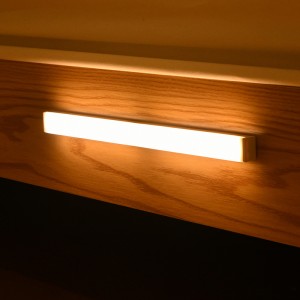 Long strip induction lamp DMK-K8PL