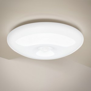 LED Human Lawas Induction Ceiling Lamp DMK-032PL