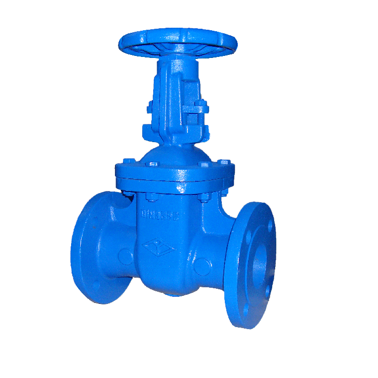 High quality DIN F5 cast iron vertical flange gate valve for natural gas power