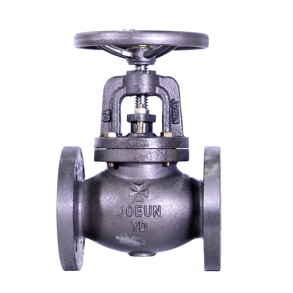 API ductile iron flanged globe valve