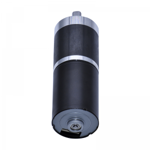 Rapid Delivery foar China High Precision High Torque Gear Motor bldc motor
