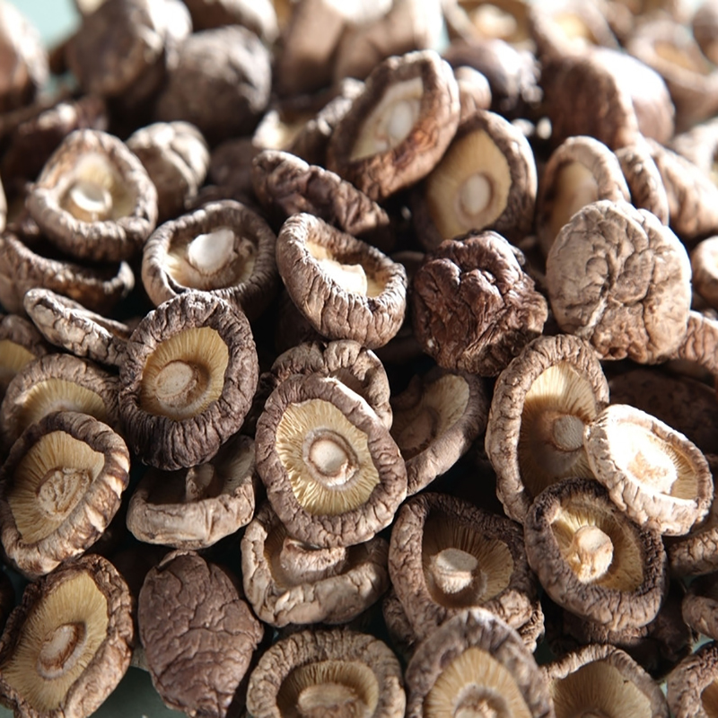 ДЕТАН извоз чисте природе сушене печурке високог квалитета култивисане шитаке печурке