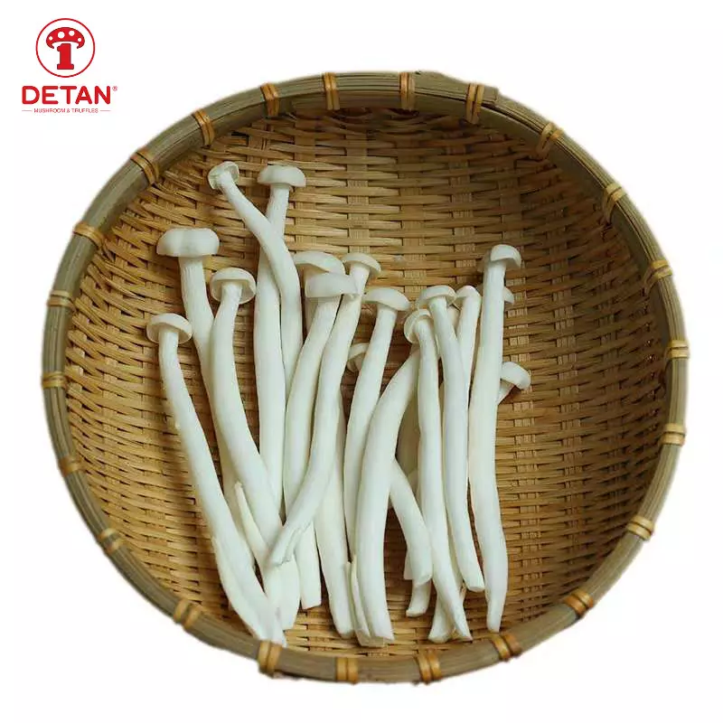 I-Detan Great Texture Fresh White Beech China Shimeji Exotic Mushroom ngaphandle kweMpande