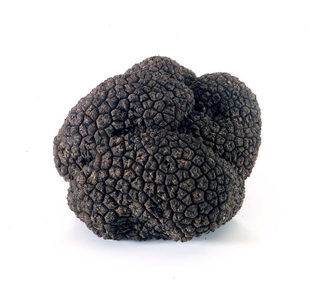 yunnan wild frozen dry truffles slice black detan export