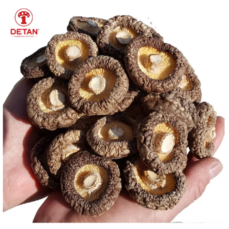 Detan Wholesale Mushrooms Dried Shiitake Mushroom For Sale