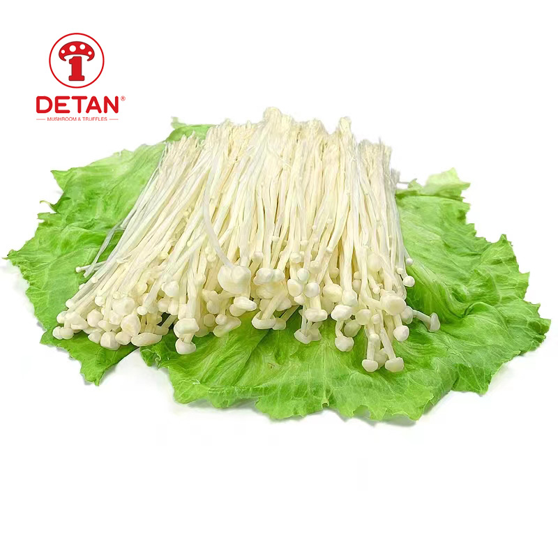 Популарна кинеска култивисана еноки печурка