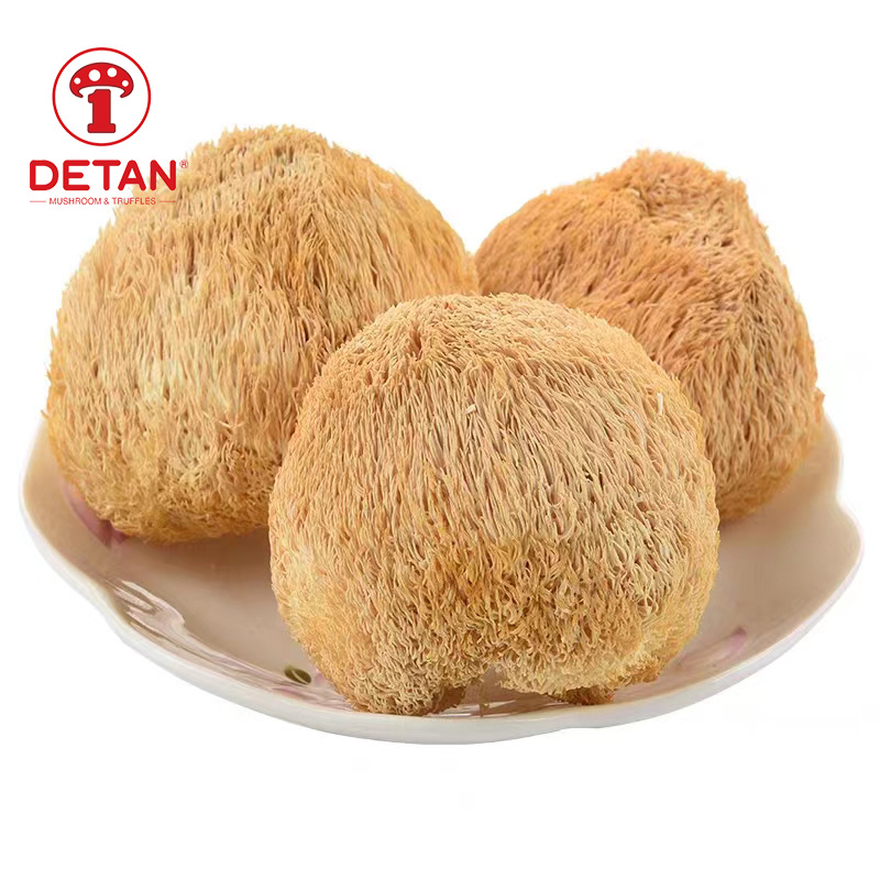 china eksportearje hege kwaliteit komôf droege / frresh liuwen mane mushroom