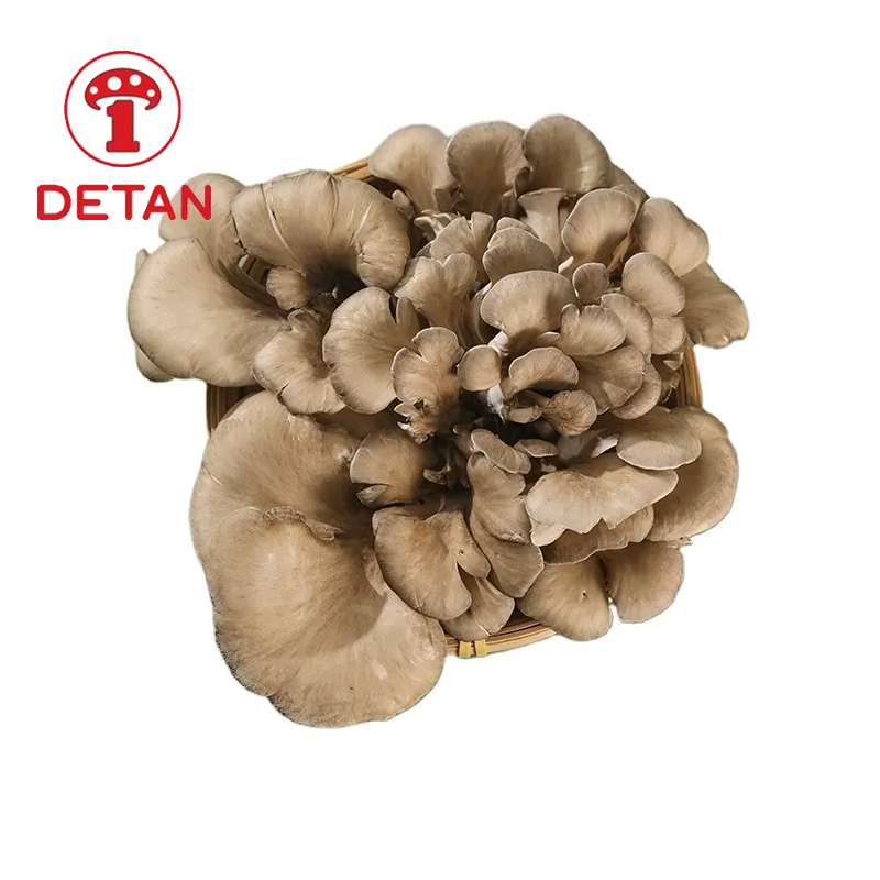 Кина хуи сху хуа детан извоз свежих маитаке печурака