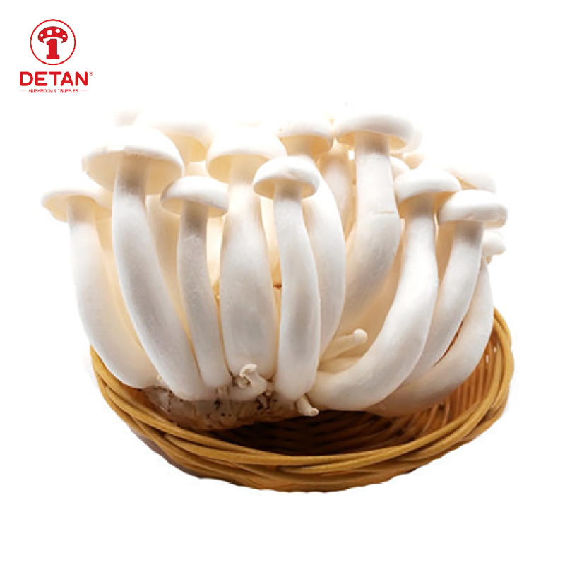 Kina eksporton kërpudha simeiji me cilësi të lartë Shimeiji kërpudha të freskëta të bardha kafe
