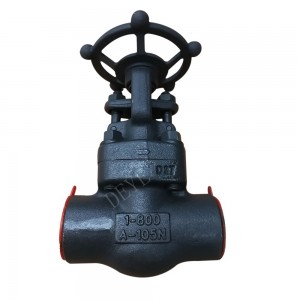 A105 Forged steel 800LBS Gate Valve GVC-0800-1