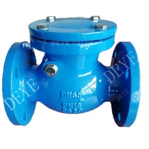 Cast iron swing check valves with metal brass seat CV-F-02