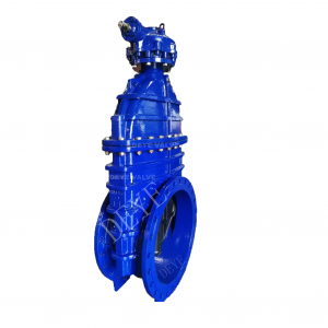 Válvula de compuerta de hierro fundido con brida superior ISO 5211 (GV-H-T03)