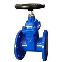 Válvula de compuerta bridada WRAS de hierro dúctil para agua potable (GV-Z-1)