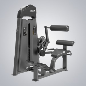 Gym Commercial Equipment Back Extension The Evost E3031
