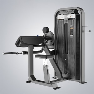 Camber Curl & Triceps E5087H