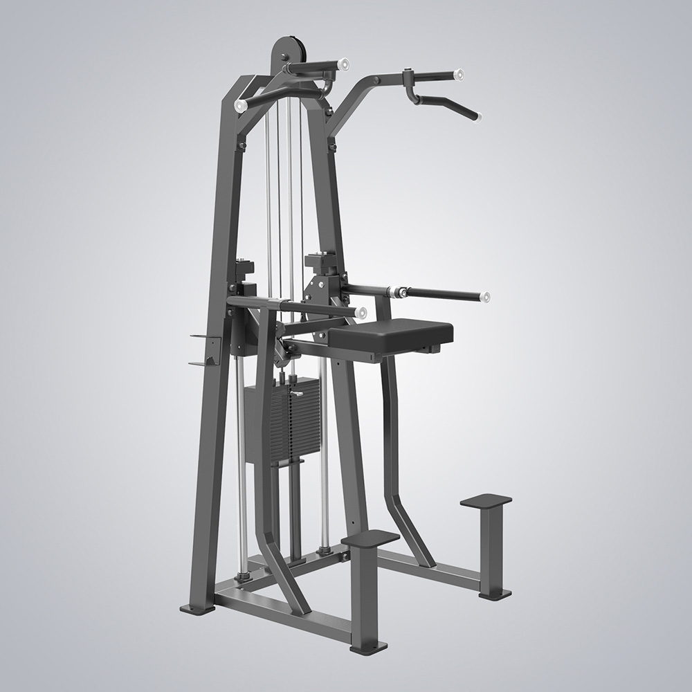 Commercial Fitness Dip Chin Assist Gym Equipment Ang Evost E3009