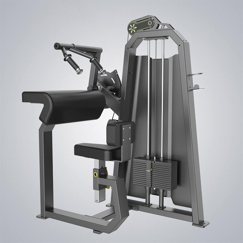 Seated Tricep Flat T1027