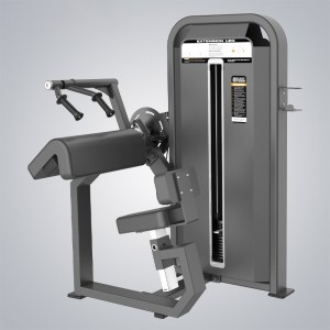 Extension Triceps E5028S