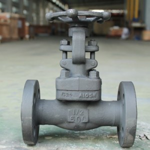 China Wholesale Dual Disc Check Valve Quotes Pricelist - Forged Steel Globe Valve  – DIDLINK GROUP