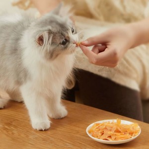 DDCJ-06 Soft Tuna mei Catnip Strip Best Cat Treats