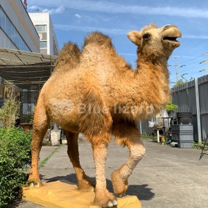 Modelo de camello animatrónico para decoración de parque zoológico interior (AA-64)