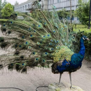 Cung cấp mô hình chim làm mô hình chim và nhiều mô hình khác cho vườn thú