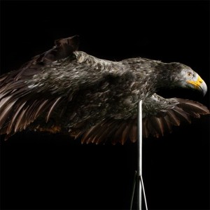 Nabídka modelů ptáků výroba modelů ptáků a další modely pro zoologické zahrady
