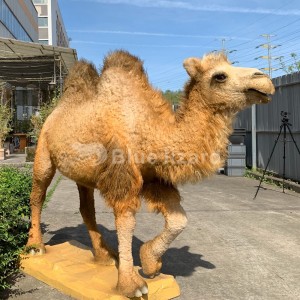 Modèle de chameau animatronique pour la décoration intérieure du parc zoologique (AA-64)