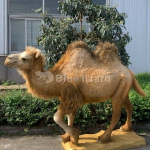Modèle de chameau animatronique pour la décoration intérieure du parc zoologique (AA-64)