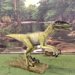 Animatronische Dinosaurier-Velociraptor-Modellprodukte (AD-10-15)