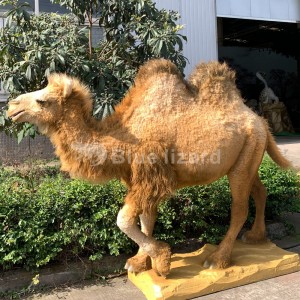 Animatronic Camel Model Rau Sab Hauv Tsev Zoo Park Kho Kom Zoo Nkauj (AA-64)