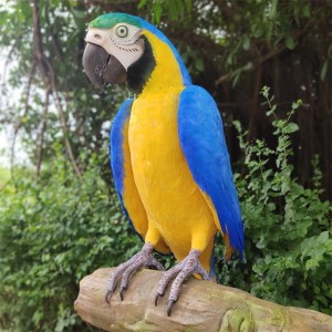 Nabídka modelů ptáků výroba modelů ptáků a další modely pro zoologické zahrady
