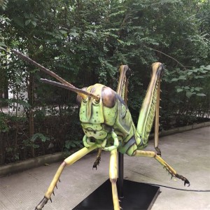 Vabzdžių plius modelių didelių vabzdžių modelių gaminių paroda