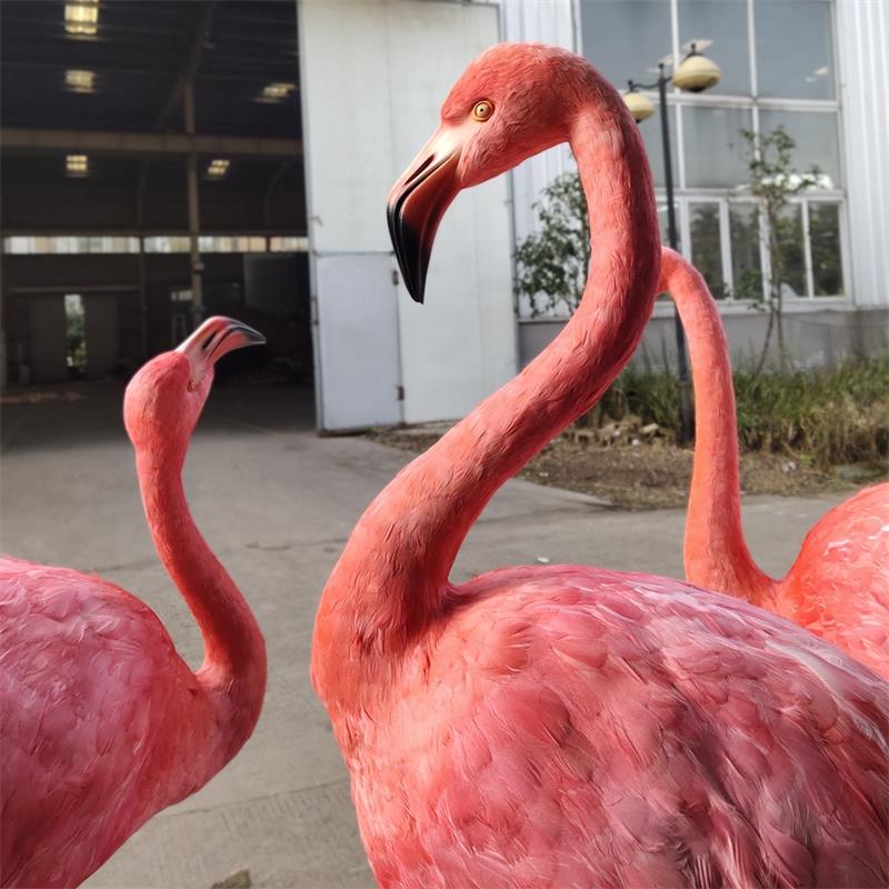 Zoo lifelike gregarious Flamingo