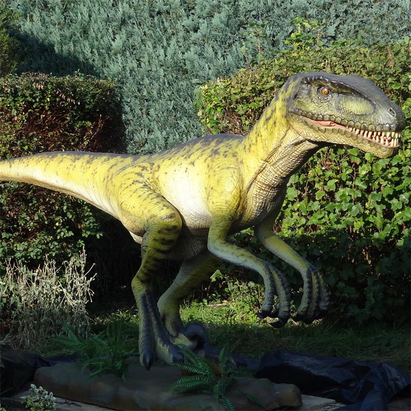 Animatronic Dinosaur Velociraptor Qauv Khoom (AD-10-15) Cov duab tshwj xeeb