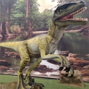 Produk Model Velociraptor Dinosaurus Animatronik (AD-10-15)