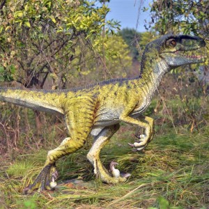 Model Velociraptor Dinosaur Tersuai
