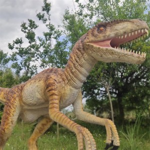 Pasgemaakte dinosourus Velociraptor-modelle