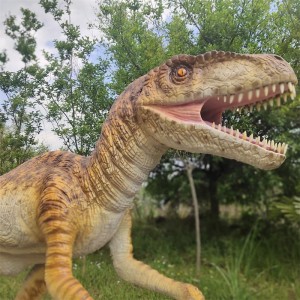 Պատվերով Dinosaur Velociraptor մոդելներ