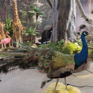 Putnu modelis nodrošina putnu modeļu izgatavošanu un citus modeļus zooloģiskajiem dārziem