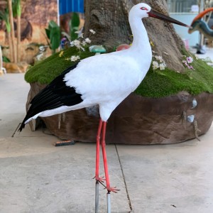Pielāgoti celtņu modeļi Dzīvnieku muzeja putnu skulptūru izgatavošanai