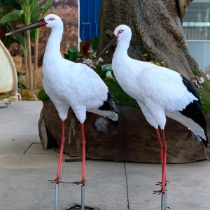 Kundenspezifische Kranmodelle für die Herstellung von Vogelskulpturen im Tiermuseum