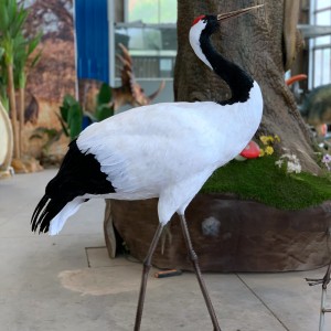 Anpassade kranmodeller för tillverkning av fågelskulpturer från djurmuseet
