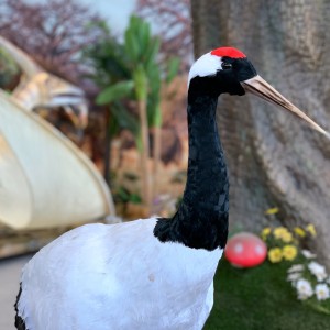 पशु संग्रहालय पक्षी मूर्तिकला निर्माणको लागि अनुकूलन क्रेन मोडेलहरू