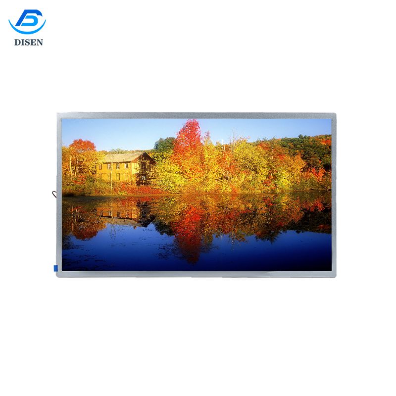 Ecran LCD TFT color robust de 18,5 inchi