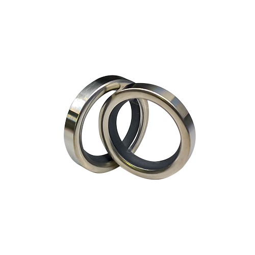 Defferent type of stainless steel PTFE oil seals
