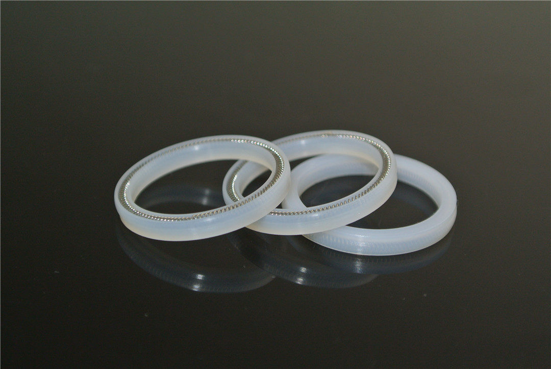 PTFE Oil Seals Case Is 304 Or 316 Stainless Steel