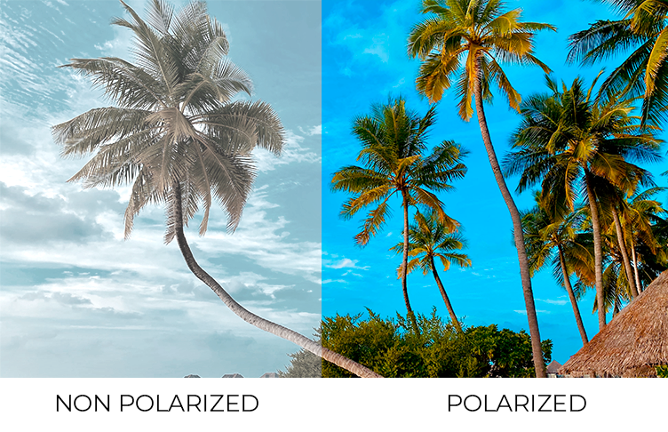 Què signifiquen les ulleres de sol polaritzades?- Tot el que necessites saber