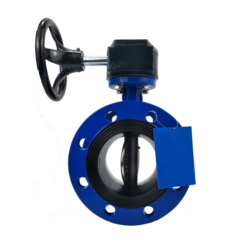 Flanged Butterfly Valve3